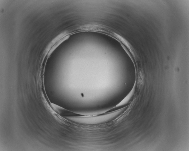 X0000086061434200703301029