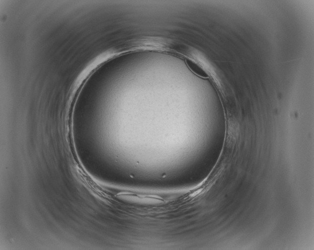 X0000086061435200703301029