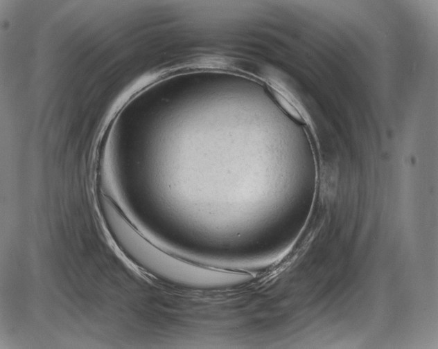 X0000086061437200703301029