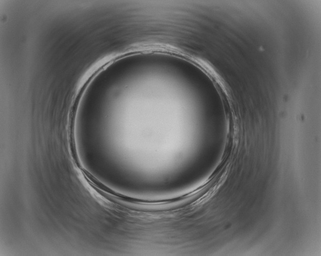 X0000086061438200703301029