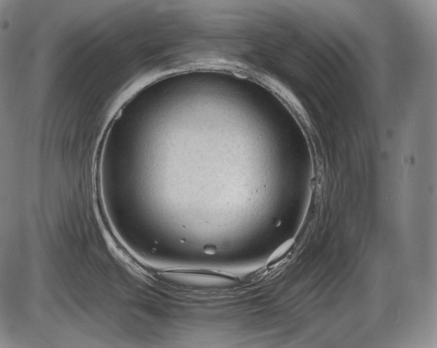 X0000086061439200703301029