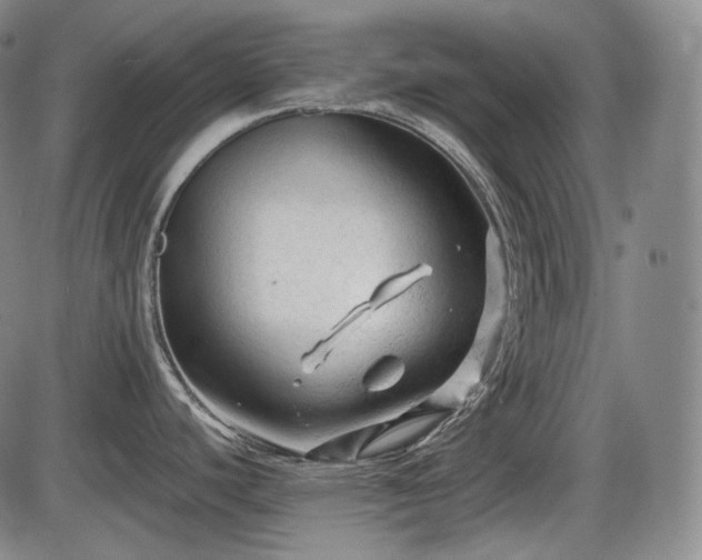 X0000086061440200703301029