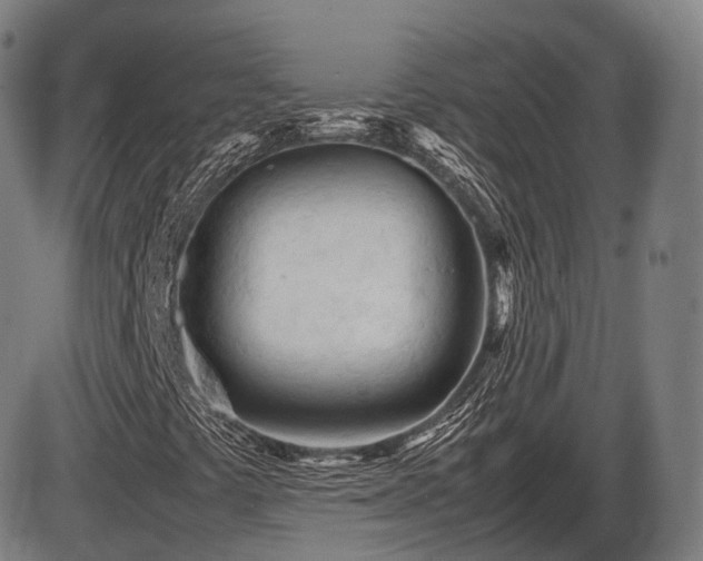 X0000086061441200703301029