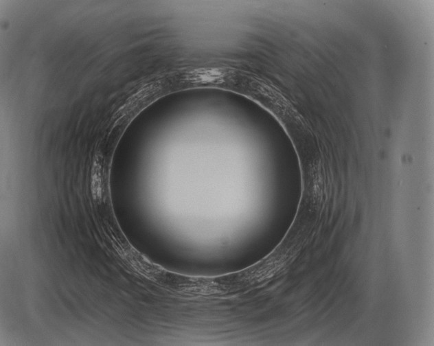 X0000086061442200703301029