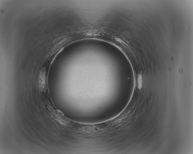 X0000086061444200703301029