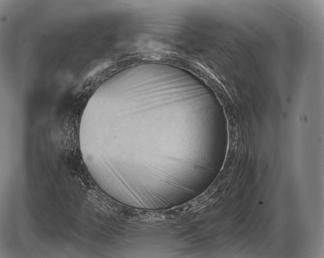 X0000086061446200703301029