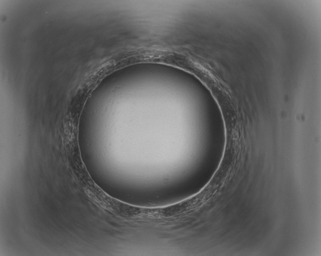 X0000086061447200703301029