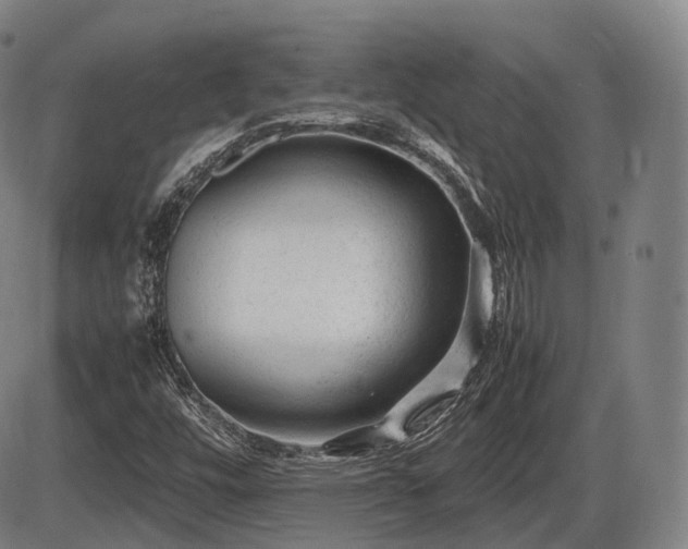 X0000086061448200703301028