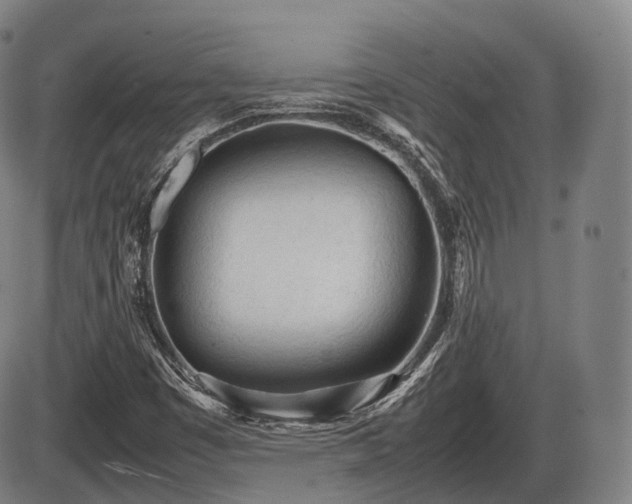 X0000086061449200703301028