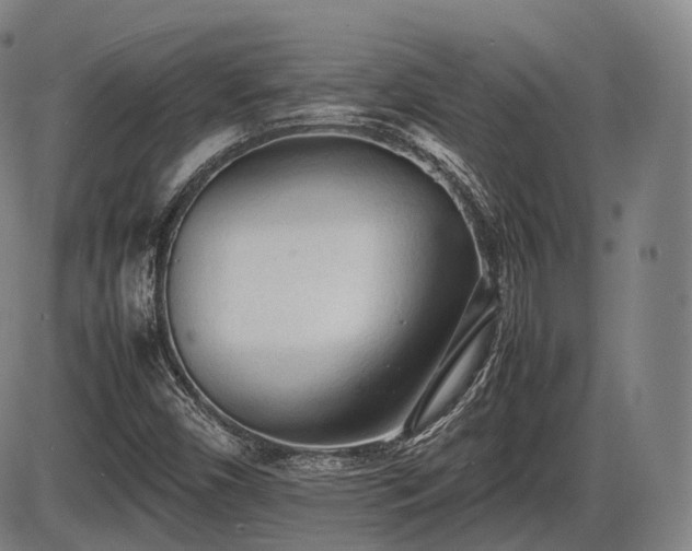 X0000086061450200703301028