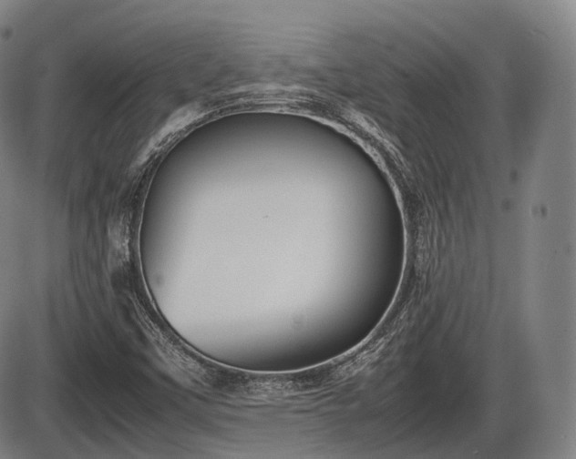 X0000086061451200703301028