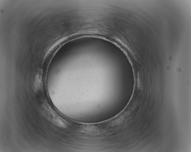 X0000086061452200703301028