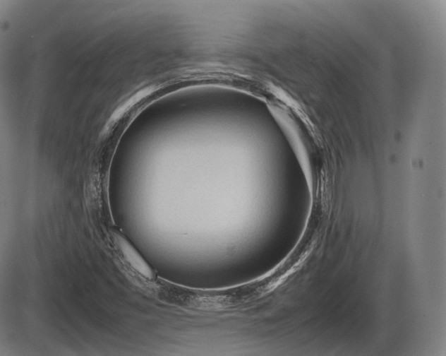 X0000086061453200703301028