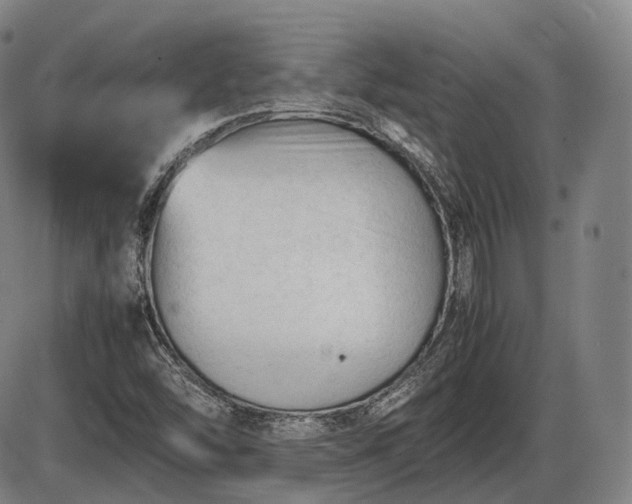 X0000086061454200703301028