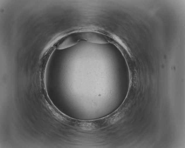 X0000086061456200703301028