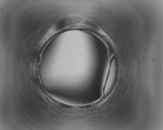 X0000086061457200703301028