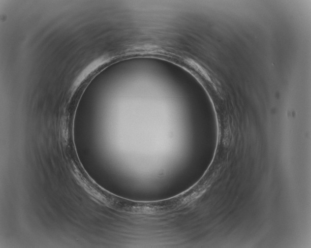 X0000086061458200703301028