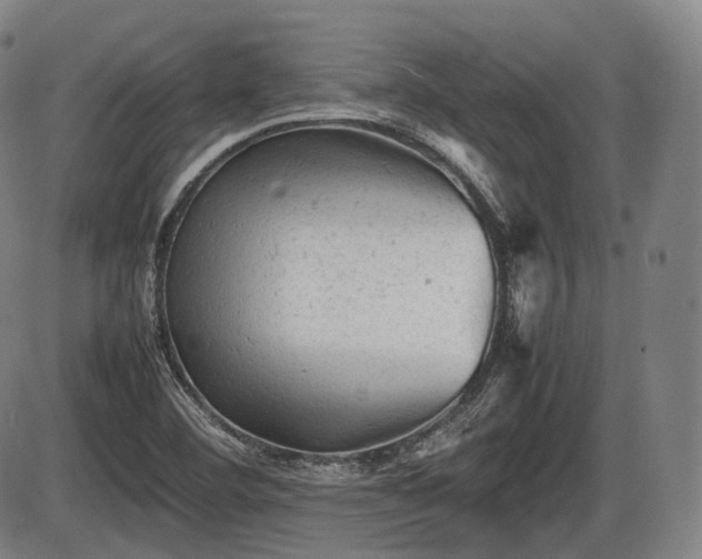 X0000086061460200703301028