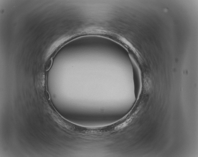 X0000086061461200703301028