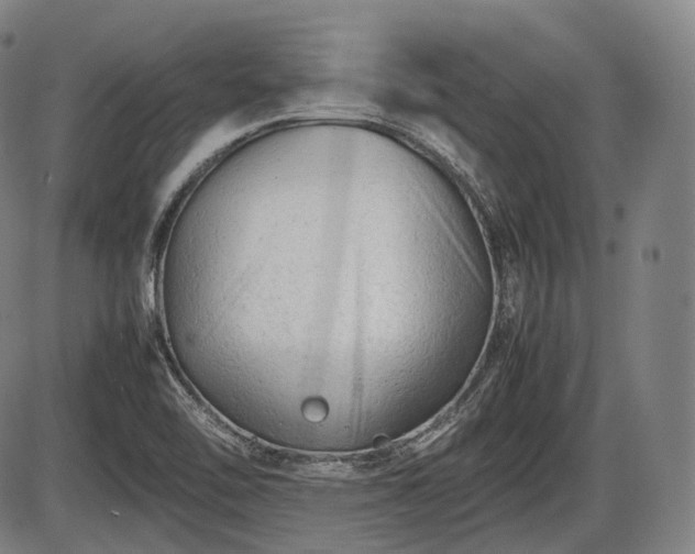 X0000086061462200703301028