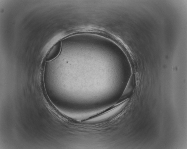 X0000086061463200703301028