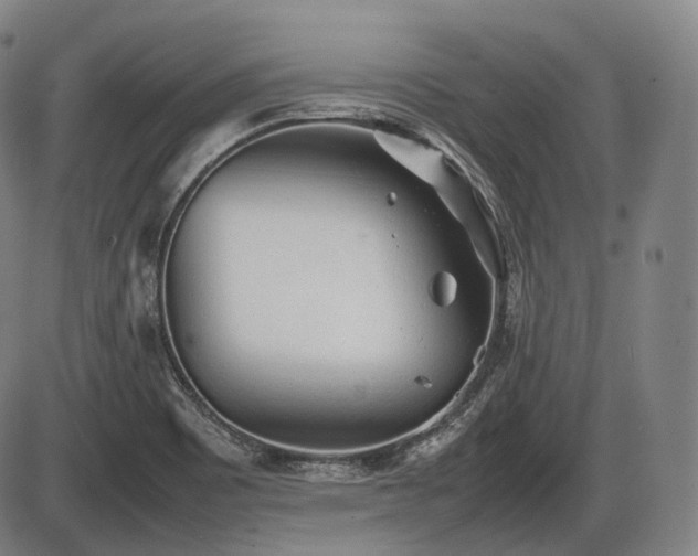 X0000086061465200703301028