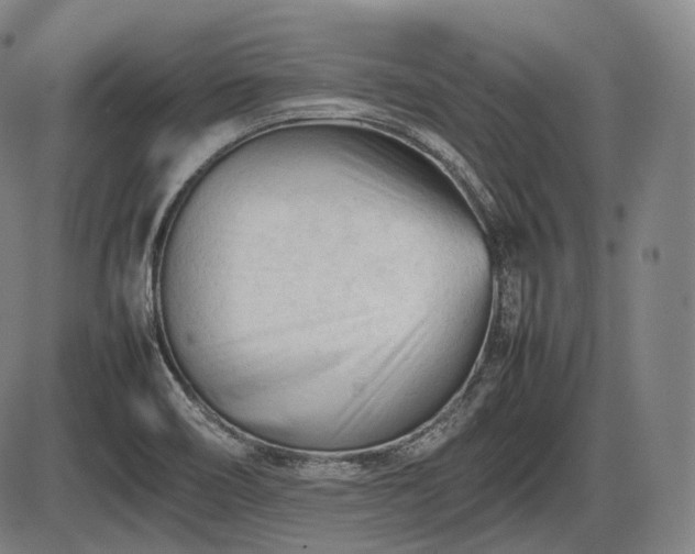 X0000086061466200703301028