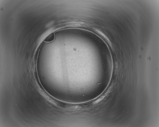 X0000086061467200703301028