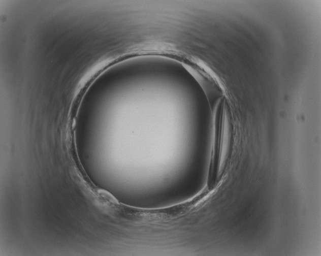 X0000086061469200703301028