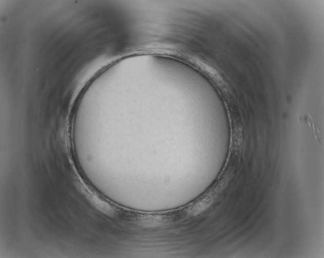 X0000086061470200703301028