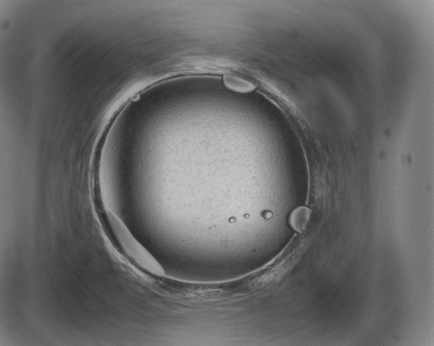 X0000086061471200703301028