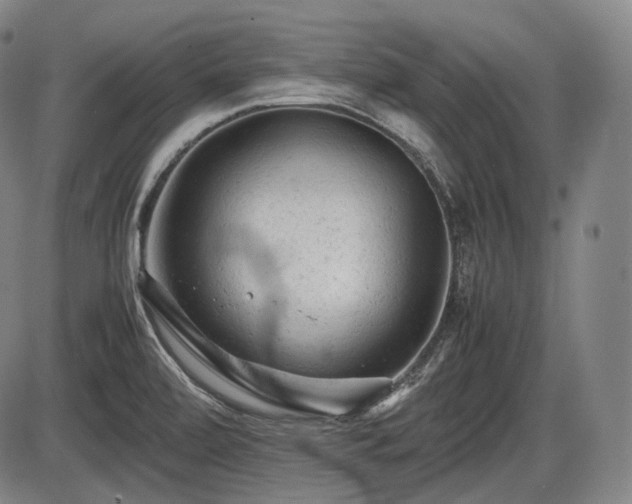 X0000086061472200703301028