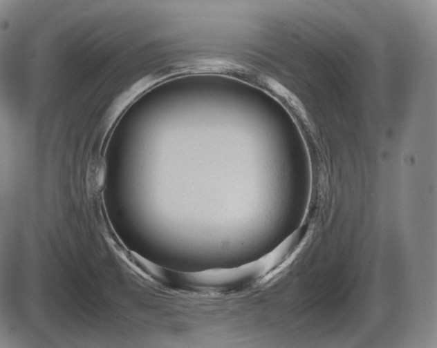 X0000086061473200703301028