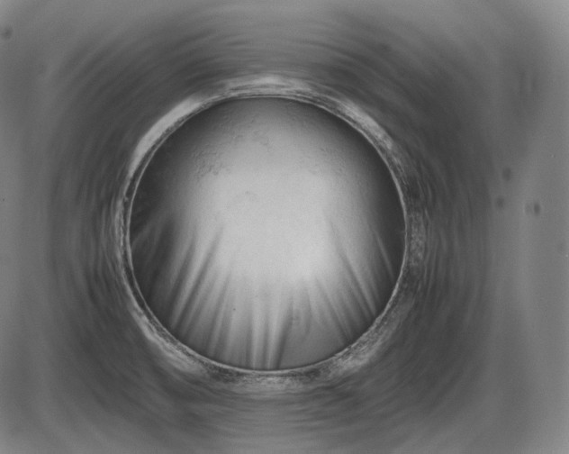 X0000086061474200703301028