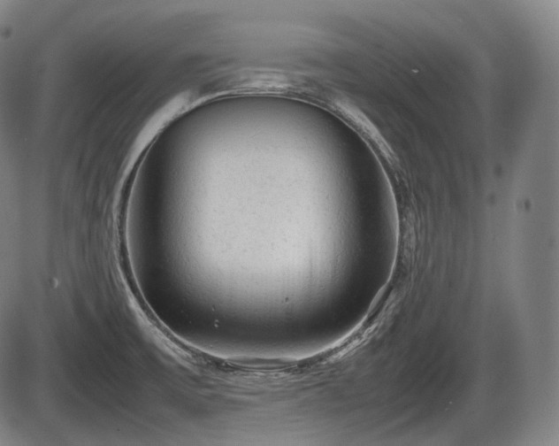 X0000086061475200703301028