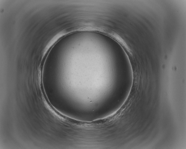 X0000086061476200703301028