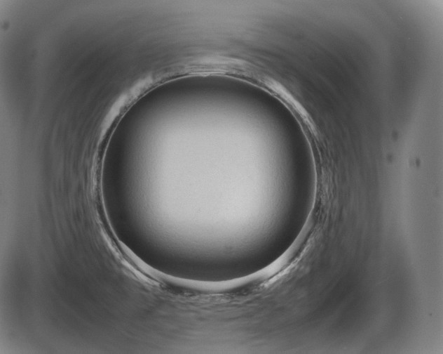 X0000086061477200703301028