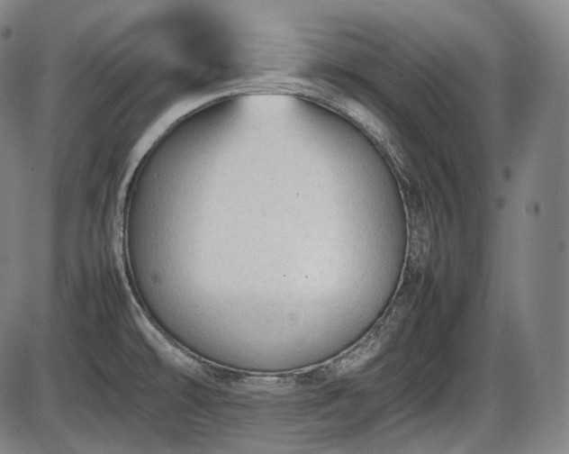 X0000086061478200703301028