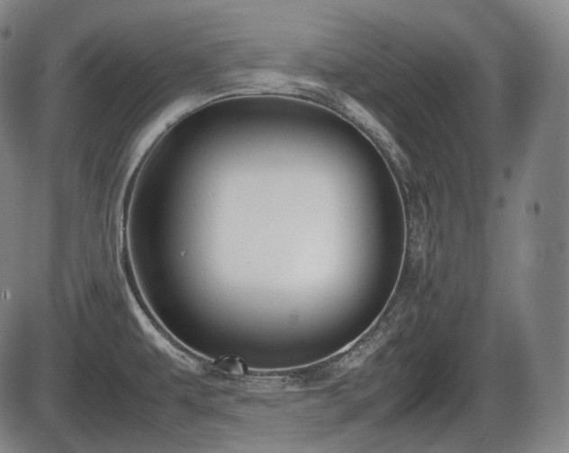 X0000086061479200703301028