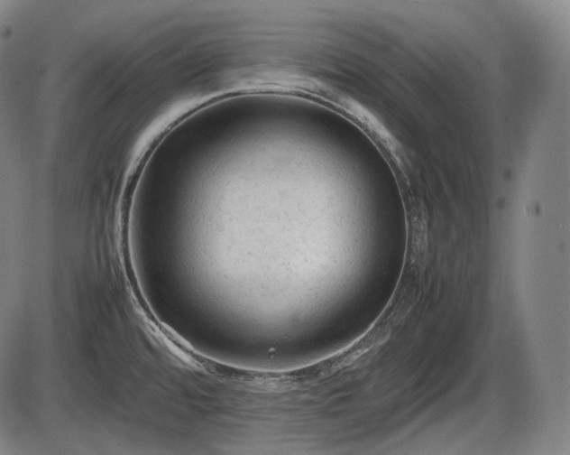 X0000086061480200703301028