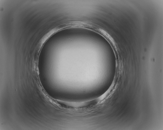 X0000086061481200703301028