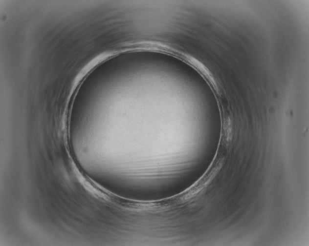 X0000086061482200703301028