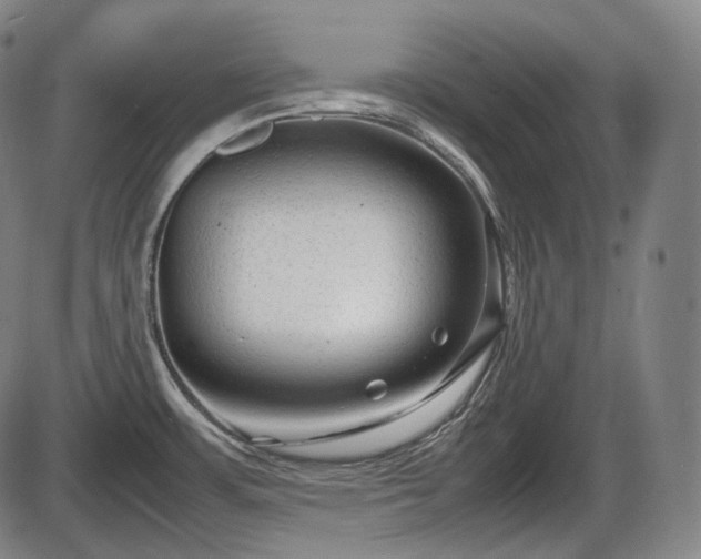 X0000086061483200703301028