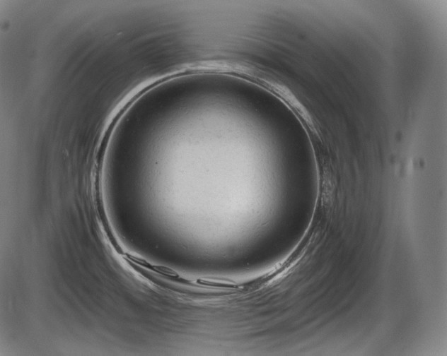 X0000086061484200703301028