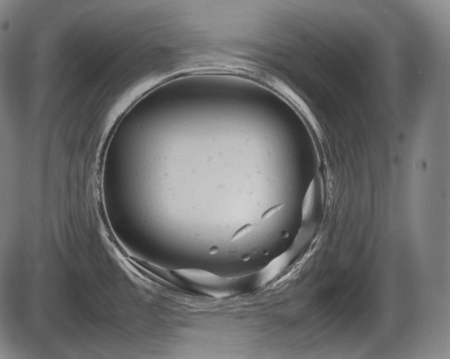 X0000086061485200703301028