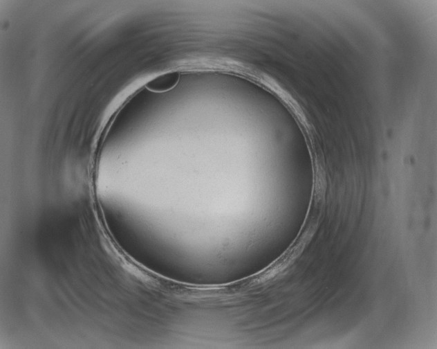 X0000086061486200703301028