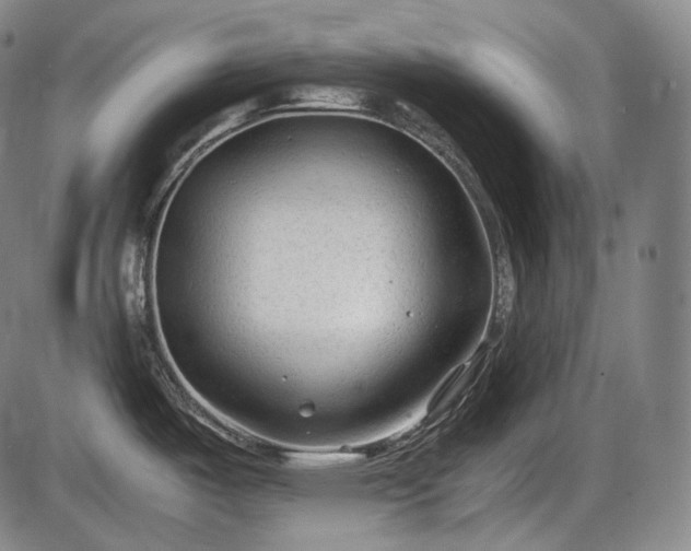 X0000086061487200703301028