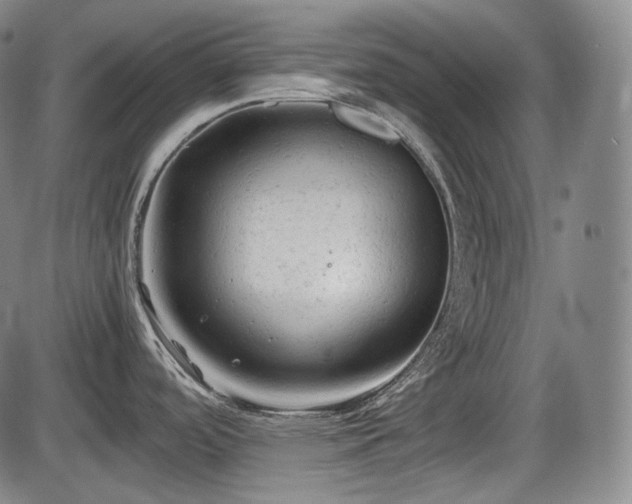 X0000086061488200703301028