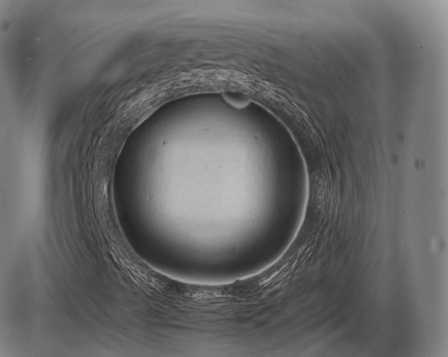 X0000086061489200703301027