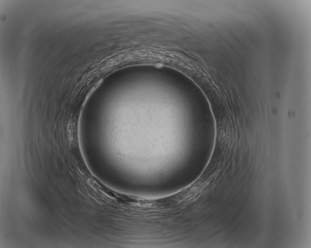 X0000086061490200703301027